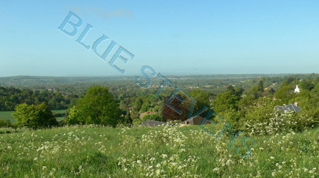 pewley downs in may